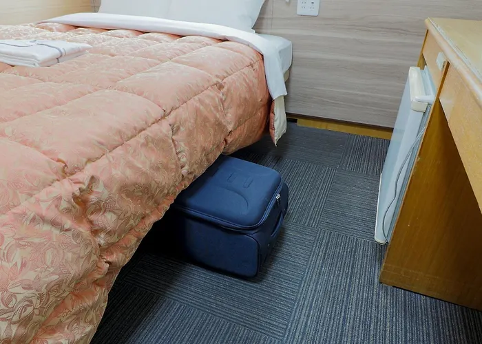 Hotel Maira Okayama