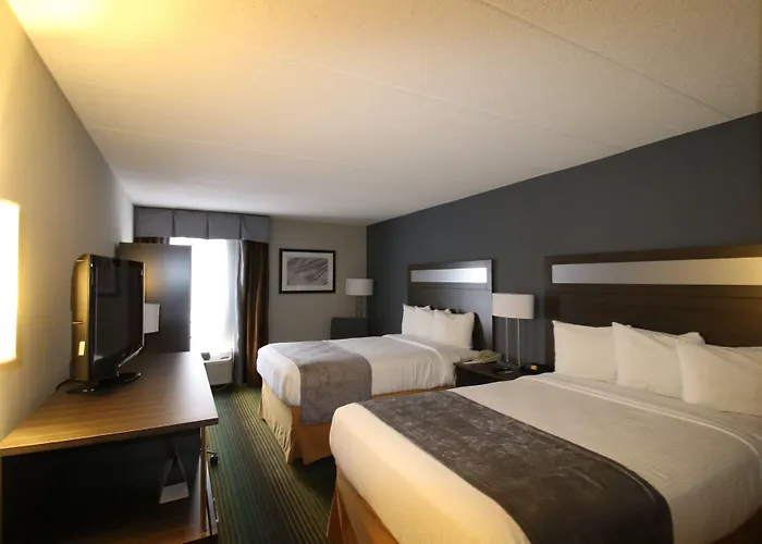 Best Western O'Hare/Elk Grove Hotel Elk Grove Village