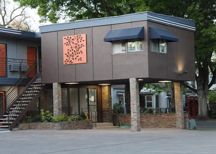 The Vine Inn Davis