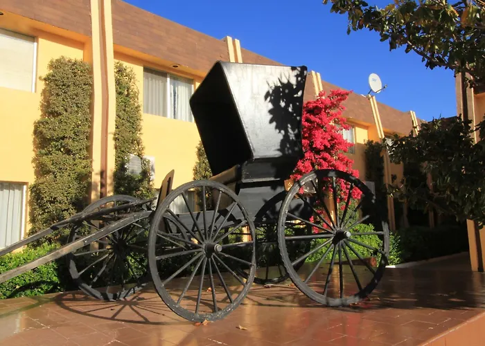 Hotel Sicomoro Chihuahua