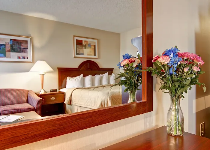 Comfort Inn & Suites Ingersoll