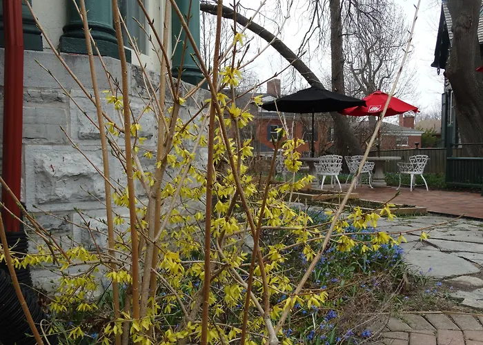 Hochelaga Inn Kingston