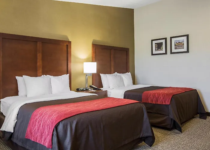 Comfort Inn Albany-South, Glenmont