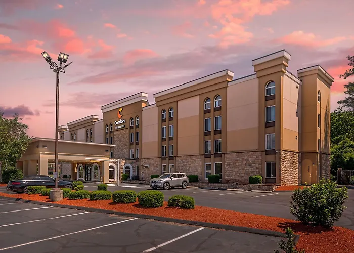 Comfort Inn & Suites East Hartford - Hartford