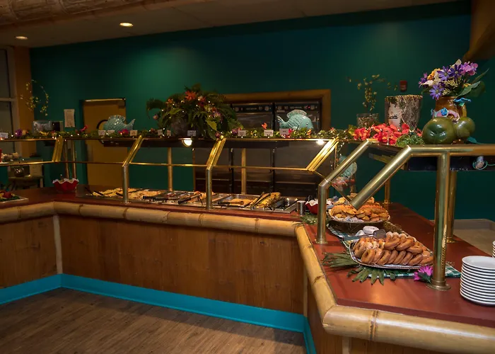 Cedar Point Castaway Bay Indoor Water Park Hotel Sandusky