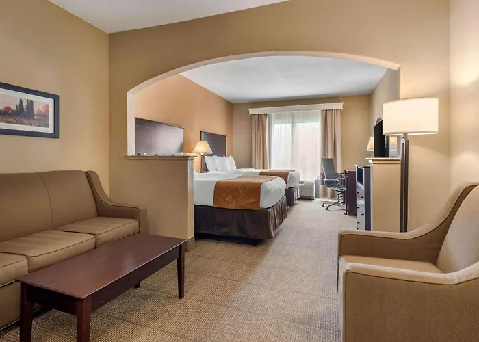 Comfort Suites Near Route 66 Springfield
