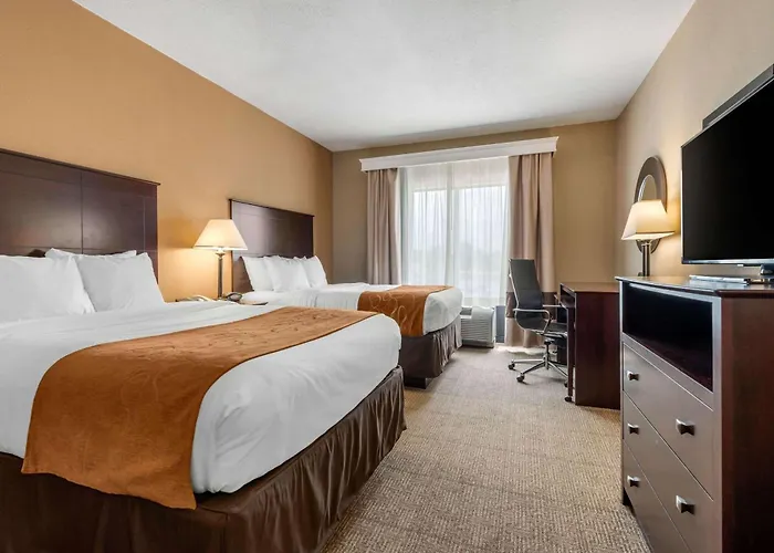 Comfort Suites Near Route 66 Springfield
