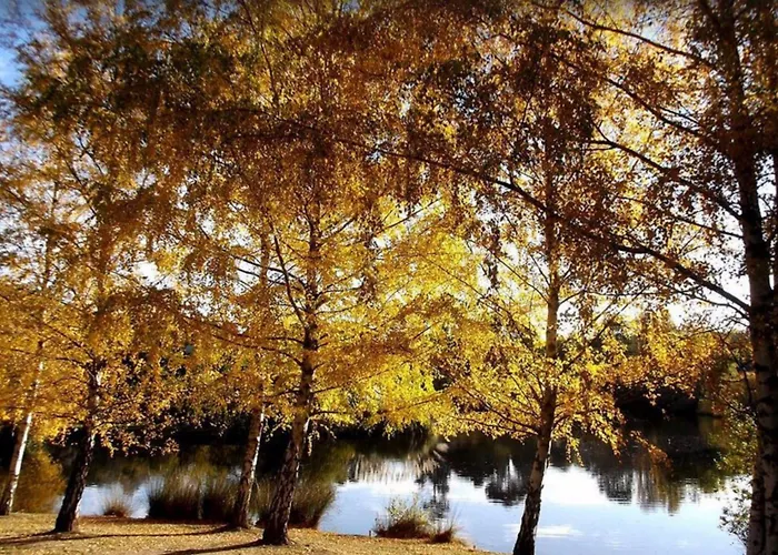 Lake House Daylesford