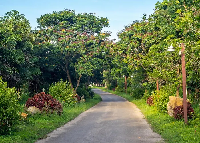 Cuc Phuong Mineral Resort Ninh Bình