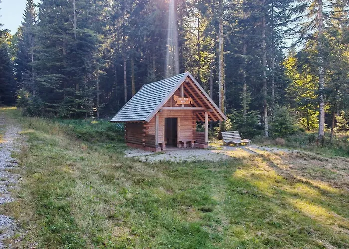 Gasthof Steinwald Loßburg