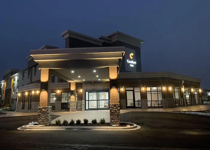 Comfort Inn Detroit - Troy Clawson