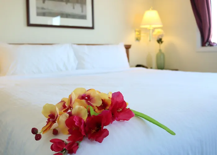 Nomad Hotel & Suites Fort Mcmurray