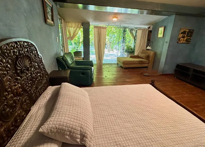 Magnolias Jardin & Boutique Suites León