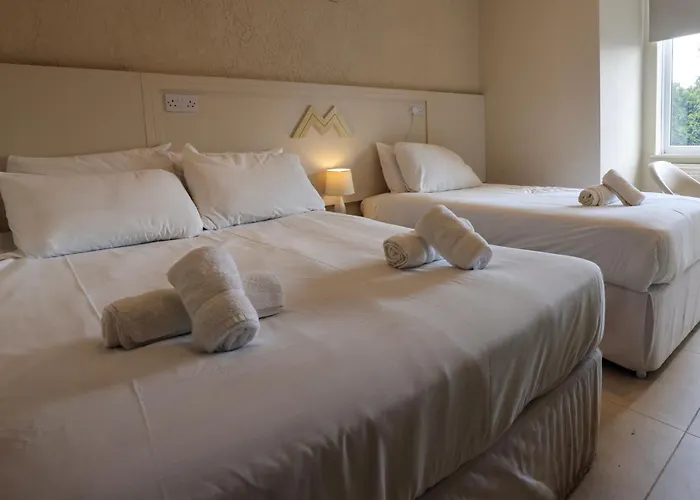 Msm Arena Hotel London