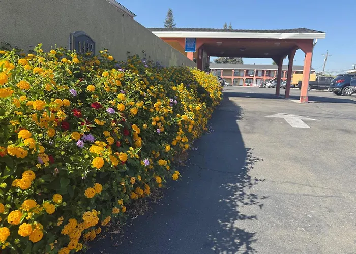 Great Value Inn & Suites West Sacramento