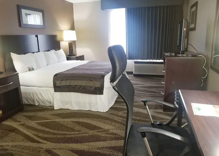Wingate By Wyndham Raleigh Durham / Airport Hotel