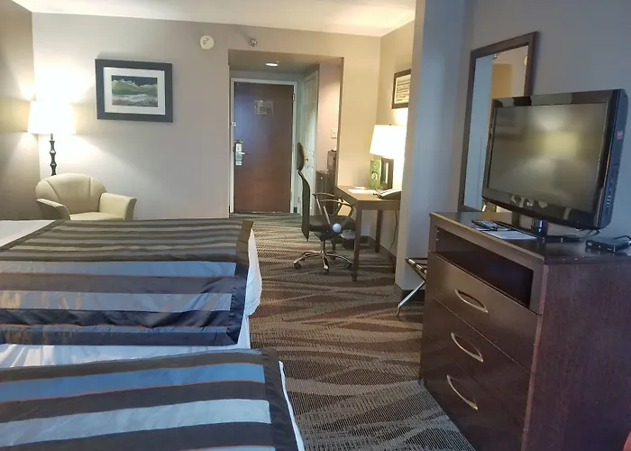 Wingate By Wyndham Raleigh Durham / Airport Hotel