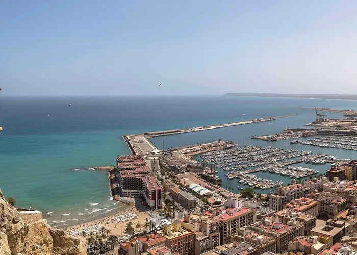 Occidental Alicante