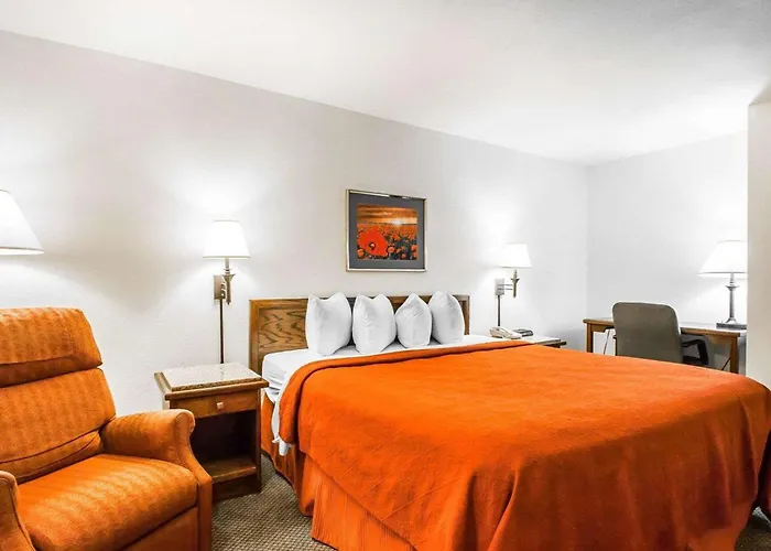 Quality Inn & Suites North Springfield