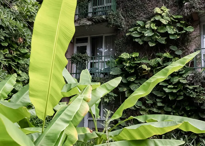 Novo Hotel & Suite San Salvador