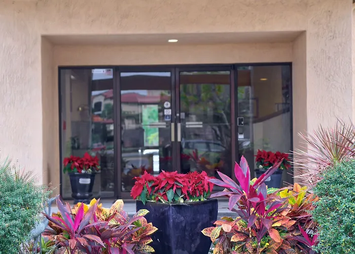 Destiny Palms Hotel Maingate West Kissimmee