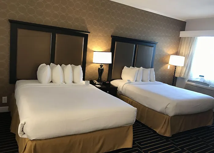 Best Western Plus Palm Court Hotel Davis
