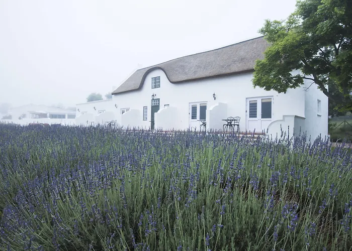 Klein Waterval Riverside Lodge Franschhoek