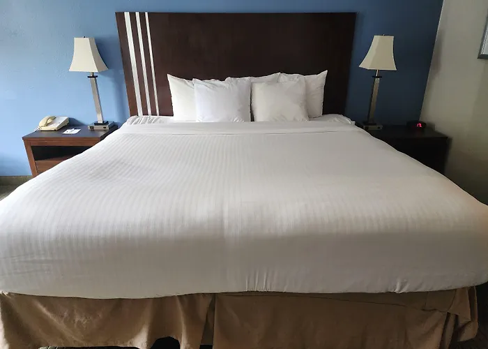 Baymont By Wyndham Freeport Hotel