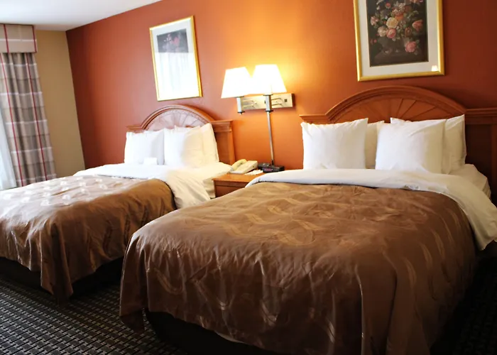 Quality Inn & Suites Cincinnati Sharonville