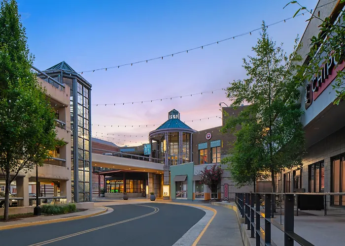 Residence Inn By Marriott Tysons Tysons Corner