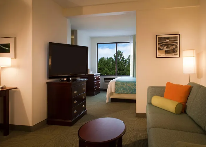 Springhill Suites By Marriott Atlanta Buford/Mall Of Georgia