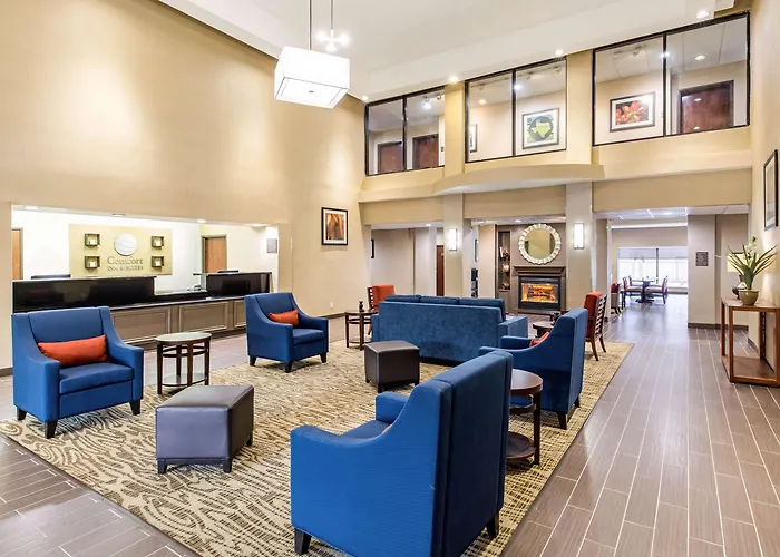 Comfort Inn & Suites Iah Bush Airport - East Humble