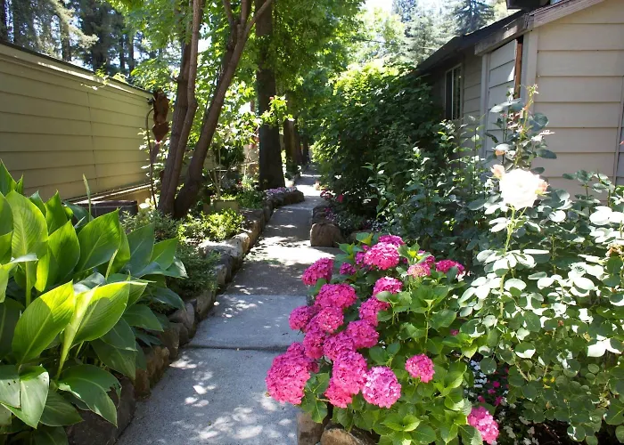 Cottages On River Road Guerneville