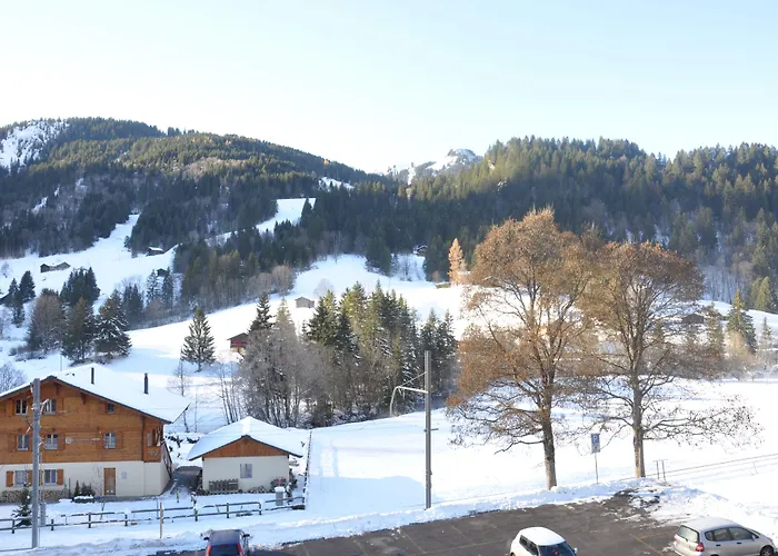 Hotel Le Chamois à Les Diablerets