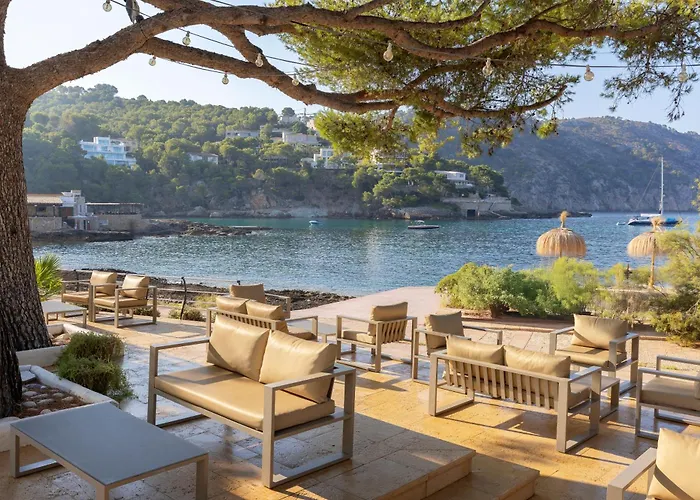 Alua Gran Camp De Mar Hotel