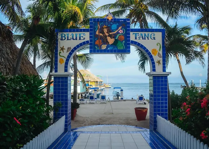 Blue Tang Inn - Beachfront Suites And Pool San Pedro 