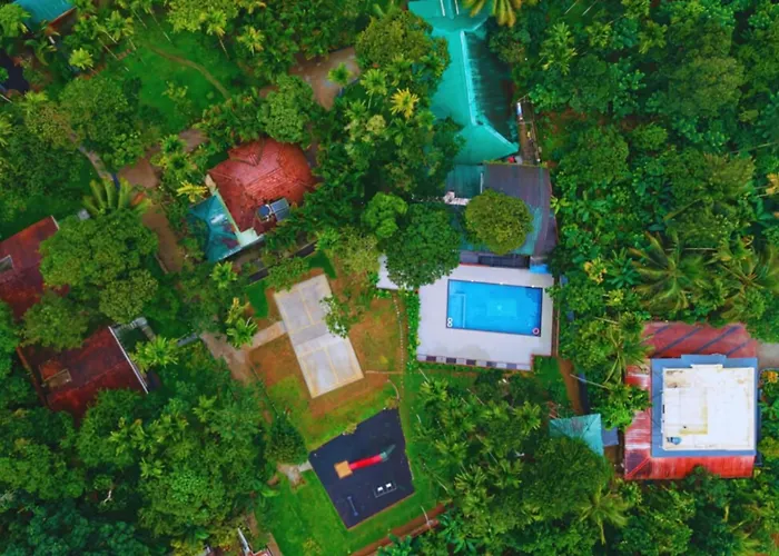 Kedara Resort Wayanad Pet Friendly With Pool Sultan Bathery