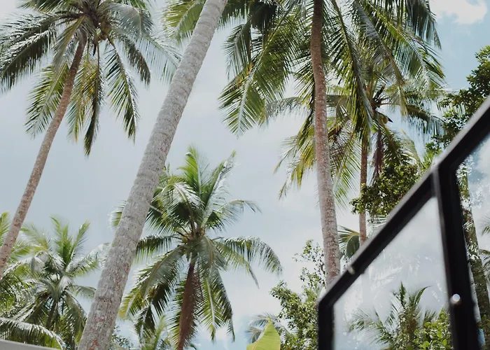 Palm Hotel Ahangama
