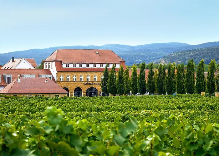 Gästehaus im Weingut am Nil Kallstadt