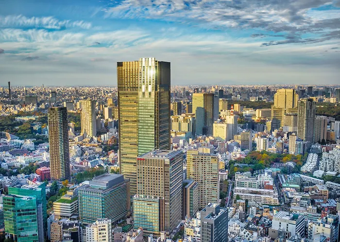 The Ritz-Carlton, Tokyo Otel