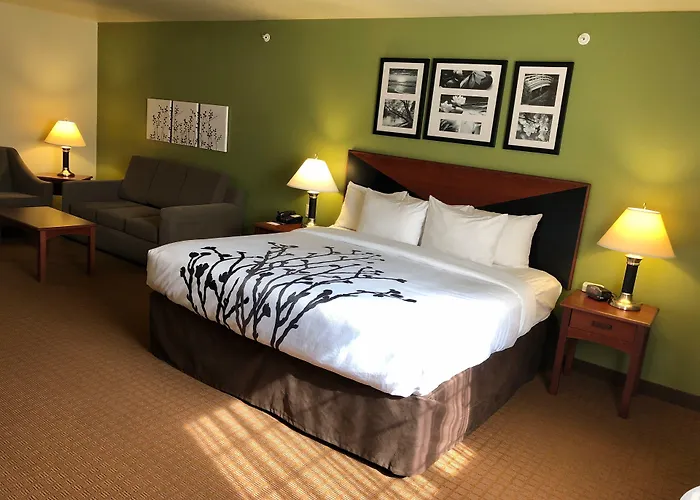Sleep Inn & Suites Shamrock