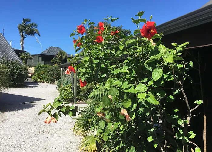 Pacific Harbour Villas Tairua