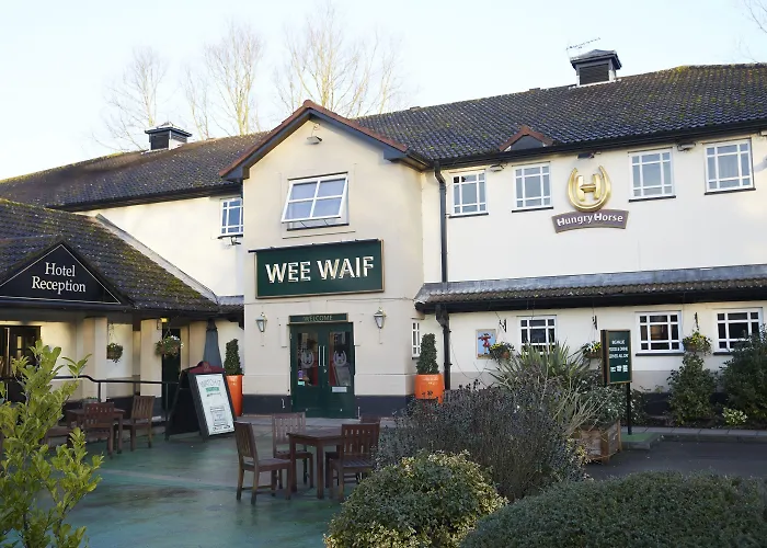 Wee Waif By Greene King Inns Reading