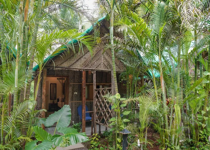 Cinnamon Agonda