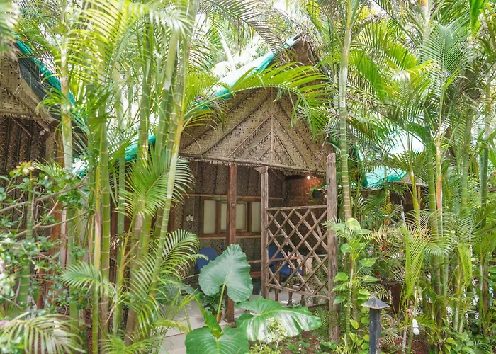 Cinnamon Agonda