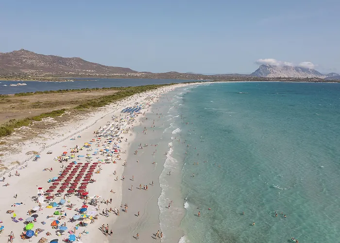 Amareclub Le Rose Hotel San Teodoro 