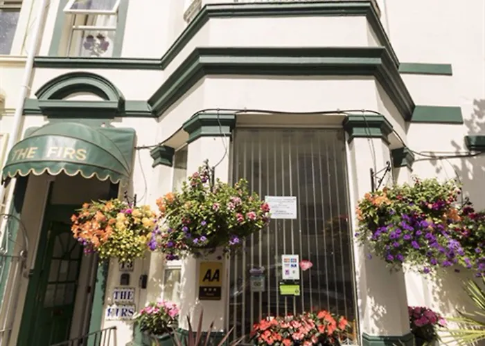 The Firs Bed And Breakfast Plymouth