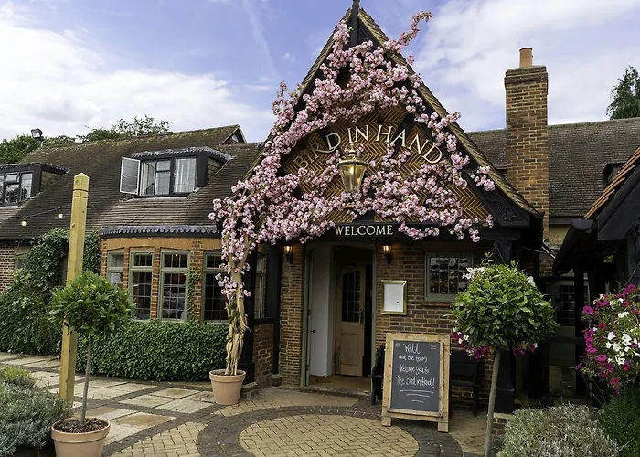 The Bird In Hand Maidenhead