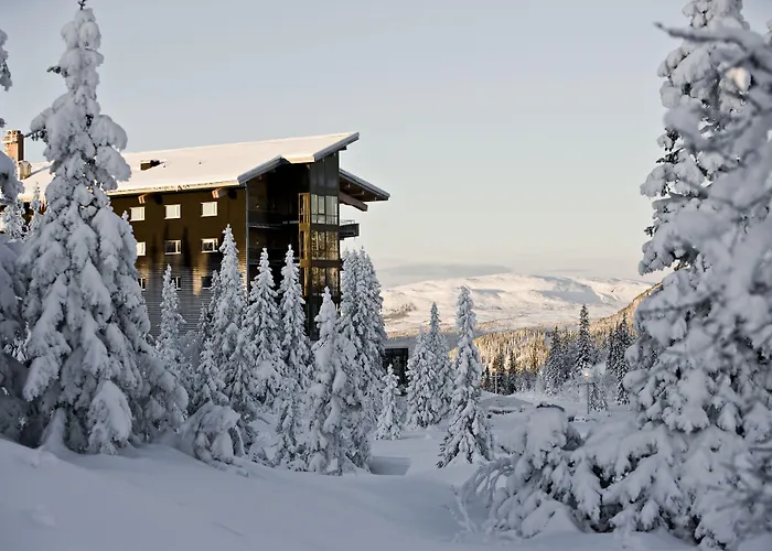 Copperhill Mountain Lodge Are