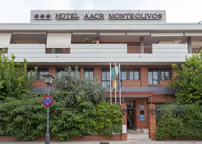 Aacr Hotel Monteolivos Sevilla